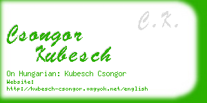 csongor kubesch business card